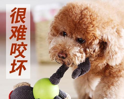 《伸缩狗的奇幻冒险》（帮助橡皮伸缩狗吃到心爱的骨头肉）