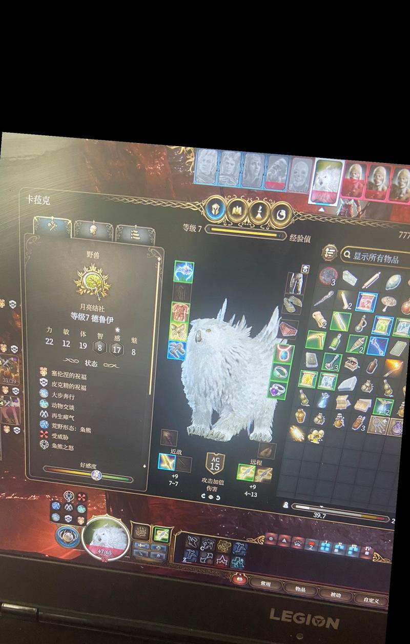 龙与地下城中枭熊角色介绍？枭熊在游戏中的作用是什么？