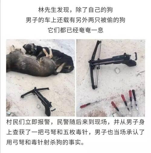 皇室战争弓弩卡教程的通过方法是什么？如何有效使用弓弩卡？