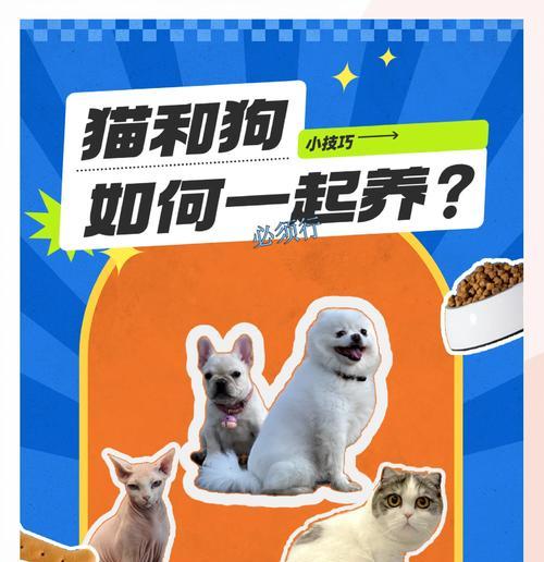 狗猫在绝地求生中是如何操作的？