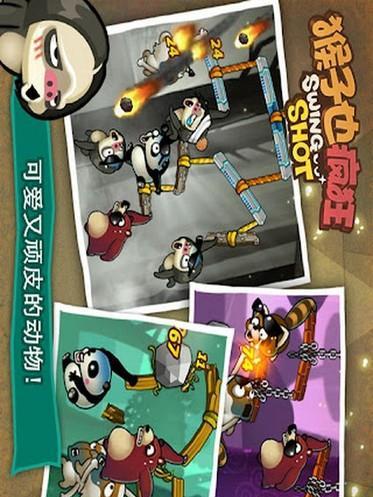 《猴子也疯狂》游戏中五种动物介绍（探秘游戏中可爱又疯狂的五种动物）