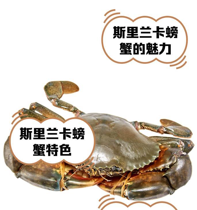 我的世界中螃蟹的烹饪方法是什么？