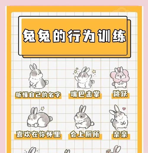 绝地求生中兔兔的使用方法和效果是什么？