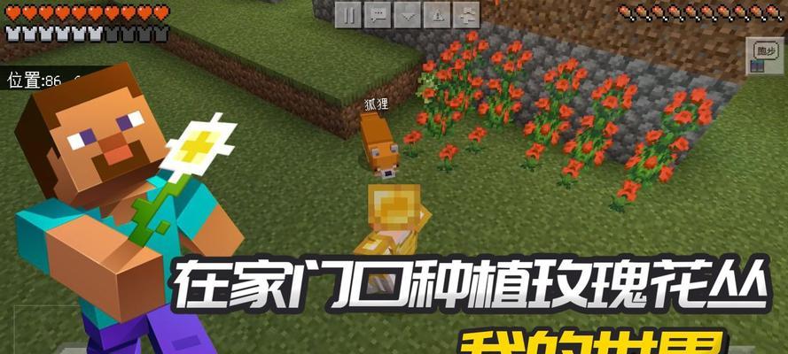 我的世界玫瑰丛怎么种植？种植玫瑰丛的正确方法是什么？